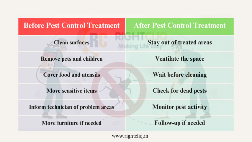 Trusted Pest Control Services for Long-Term Protection