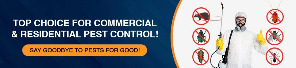 Pest Control Service - RightCliq.in Pest Control Service - RightCliq.in